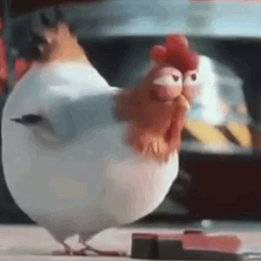 pollo, kutico es feo, el pollo es divertido, feo 2 kitiro, pollo sospechoso