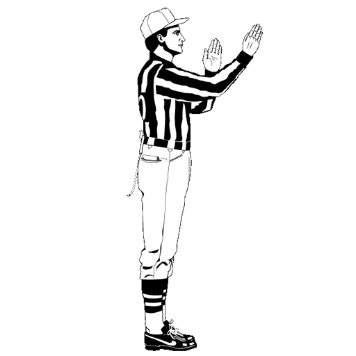 árbitro, imagen, árbitro, referente con una bandera, juez de hockey