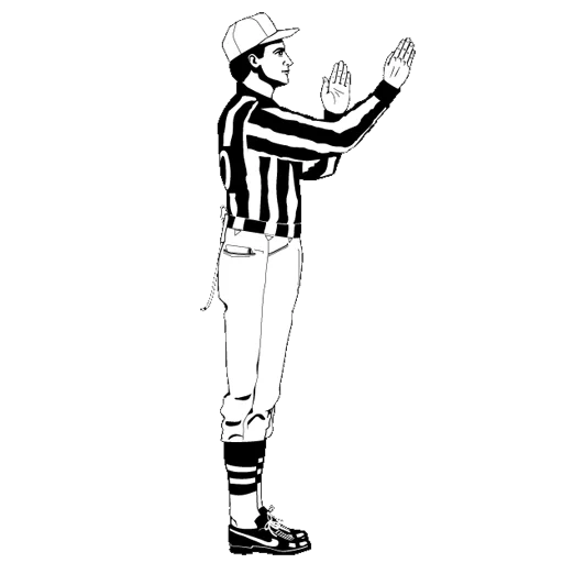 referee, picture, referee, referer with a flag, hockey judge