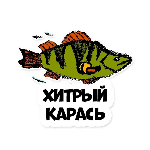 percha de pescado, karas karp, dibujo de percha, vector de perca de peces, atrapa el pez grande