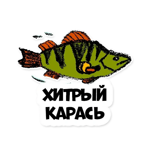 fish perch, karas karp, perch drawing, fish perch vector, catch the fish big