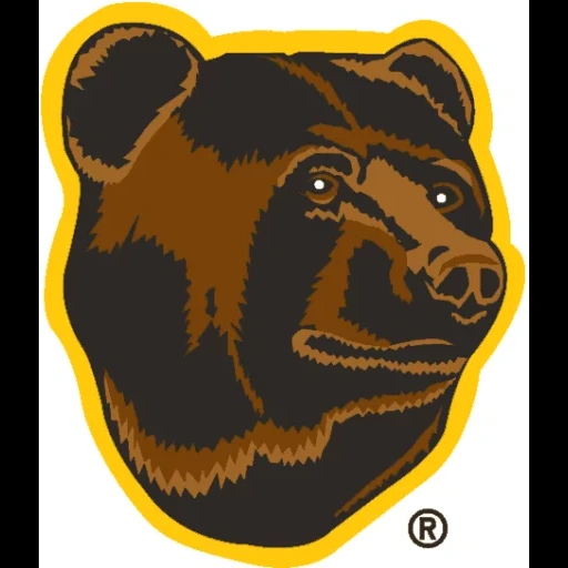 бостон брюинз, медведь символ, эмблема медведь, бостон брюинз логотип медведь, эмблема бостон брюинз медведем
