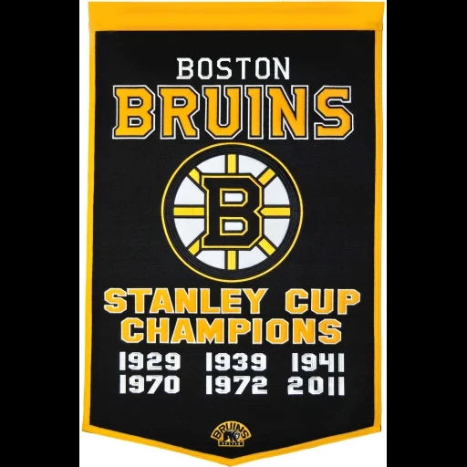 stanley cup, boston bruins, бостон брюинз, boston bruins 60, stanley cup championship