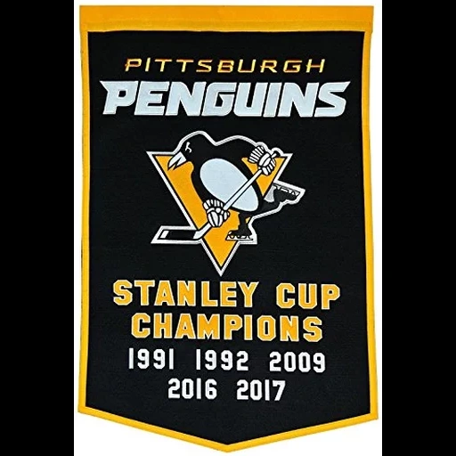 питтсбург пингвинз, нхл питтсбург пингвинз, логотип хк питтсбург пингвинз, pittsburgh penguins 5x champion, анахайм дакс питтсбург пингвинз логотип