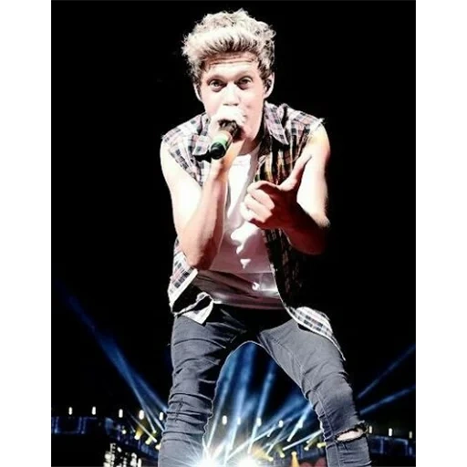 niall horan, una sola dirección, justin bieber, louis tomlinson, concierto de niall horan