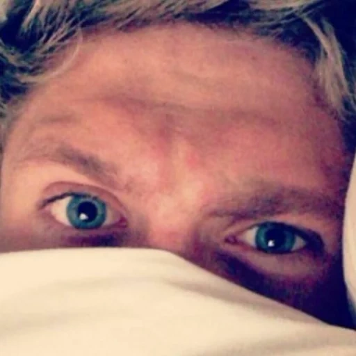 твиттер, найл хоран, луи томлинсон, one direction, niall horan wich color eye