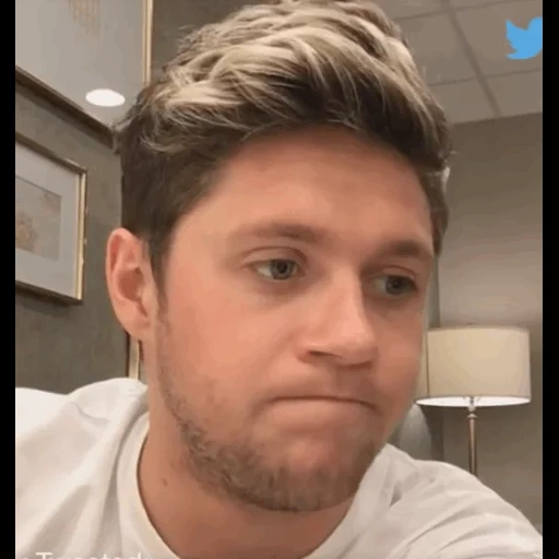 tipo, umano, il maschio, niall horan, uomo affascinante