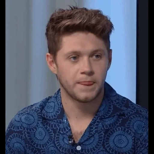 neil holland, frère acteur, one direction, niall horan meme, niall horan interview