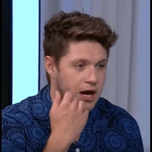 young man, people, male, neil holland, niall horan meme