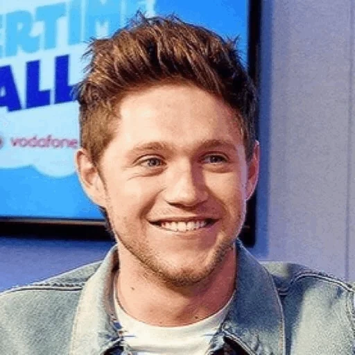 niall horan, julia michaels, niall horan 2018, rick astley 2019, niall horan si incontra e saluta