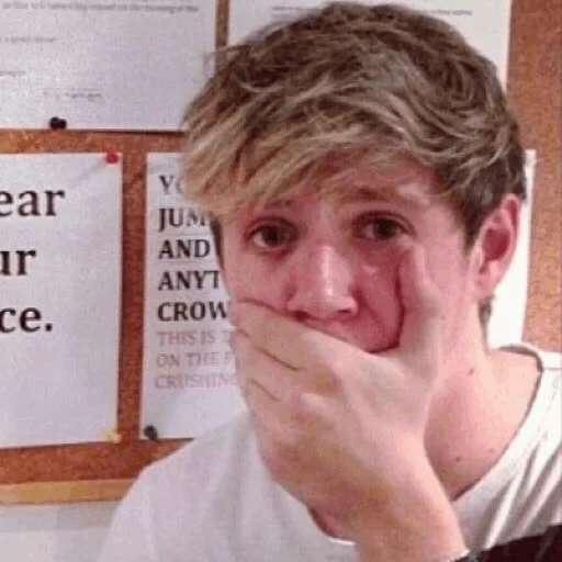 horan, niall horan, niall horan memes, memes de fotos estúpidas, falla de la revista niall horan