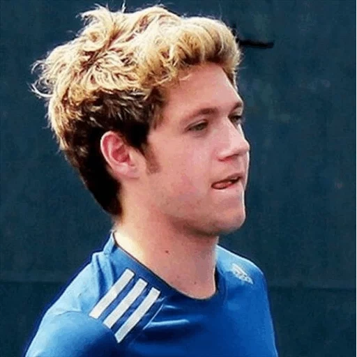 niall horan, harry waltman, louis tomlinson, homens irlandeses, niall horan 2014 football