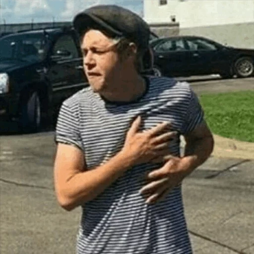 chico, meme de amigos, niall horan, harry styles, la cara es divertida