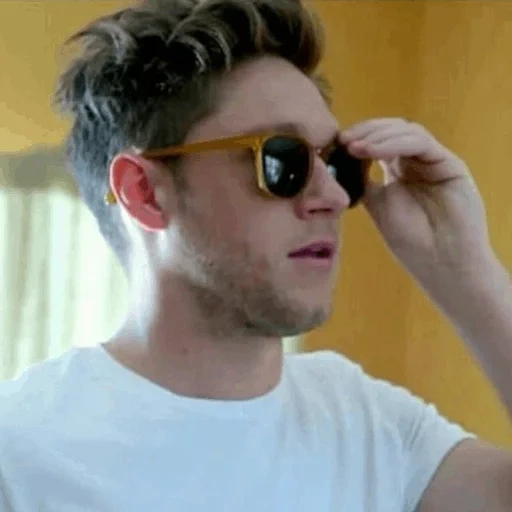 tipo, el hombre, niall horan, roman grozhany 2012, niall horan princesa