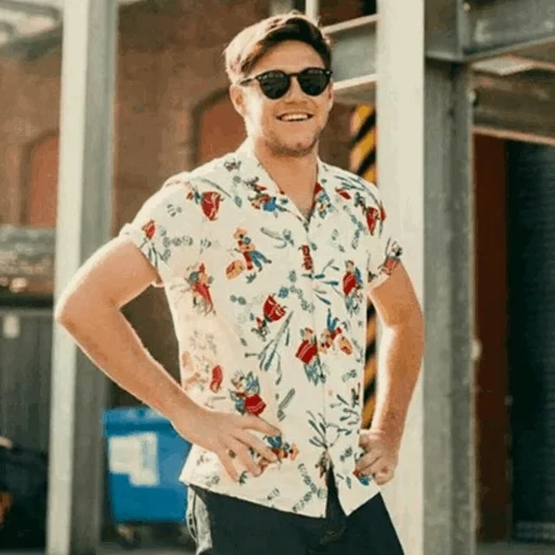 hommes, neil holland, niall horan, louis tomlinson, chemise à la mode