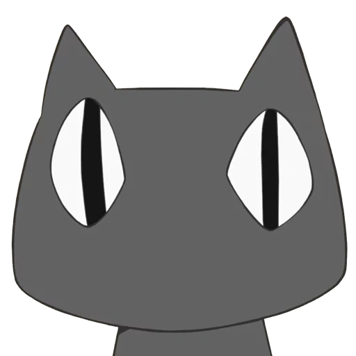 cat, cat, cat, the head of a cat, cat muzzle with a transparent background