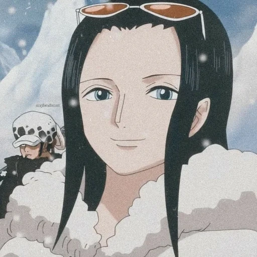 van pies, zorro robin, nico robin, robin vanpies, one piece anime