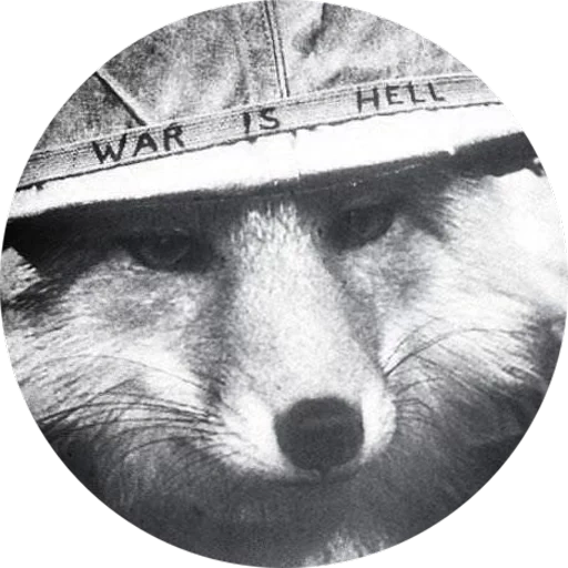 fox, capacete de raposa, fox fox, capacete de raposa, war is hell