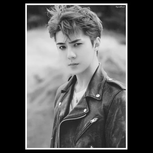 reparação, sehun exo, shehong esso, park cheung-lee, exo baekhyun