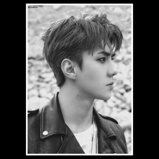 exo sehun, xie hong buckheng, bagian xie hong, tentang xie hong melarikan diri, estetika becken yeho