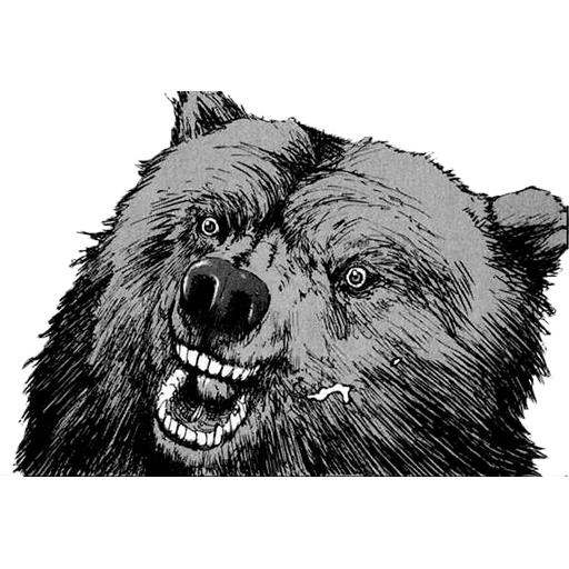 bear se rió, grizzly, patrón de oso sonriente, grizzly negro, sketch de tatuaje de oso sonriente
