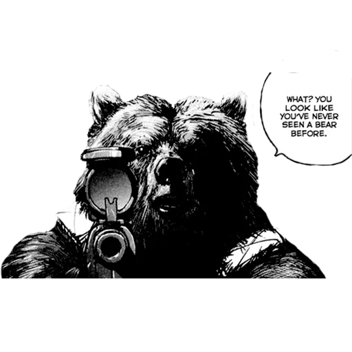 gatto, orso, orso di battaglia, portare con un fucile, orso armato