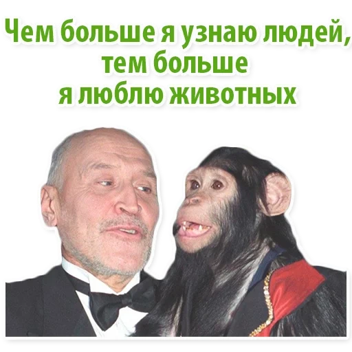 simpanse, di dunia hewan, nikolai drozdov dengan monyet, show's chimpanzee, lelucon