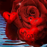 красные розы, цветы сердце, красивые розы, красные розы красном фоне, анимированные розы сердца