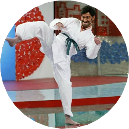 karaté, hommes, karaté, jiu jitsu, karaté de style complet