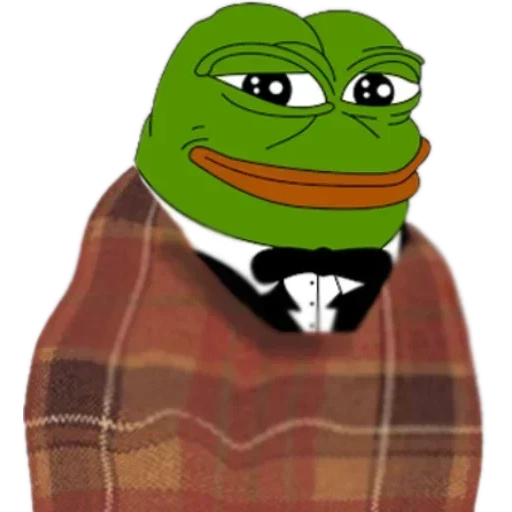 find, frog pepe
