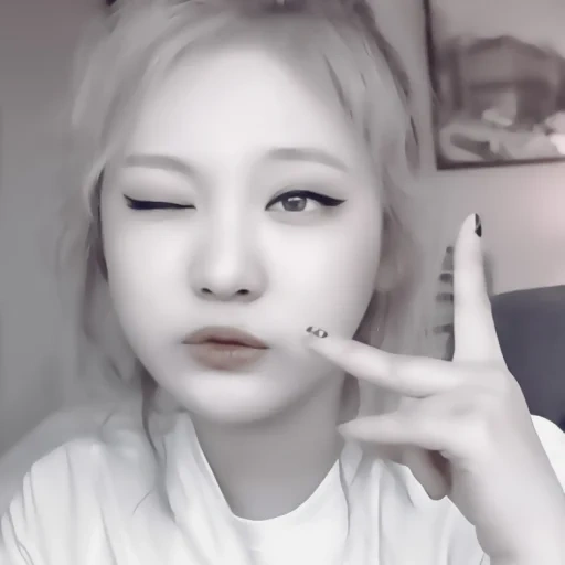 paquete, asiático, maquillaje de ojos coreano