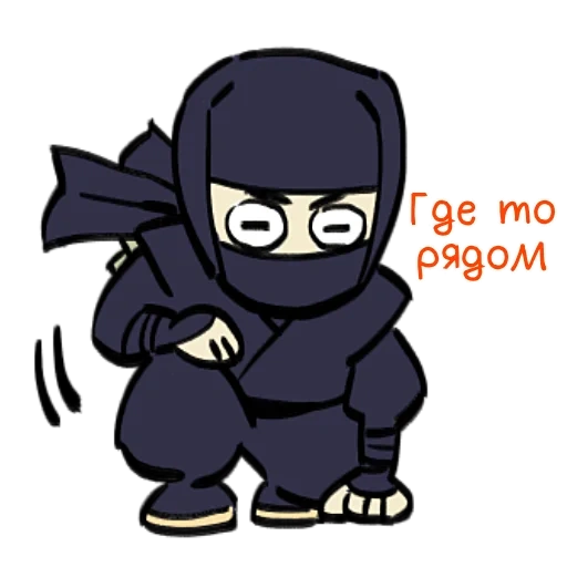 i ninja, piccione ninja