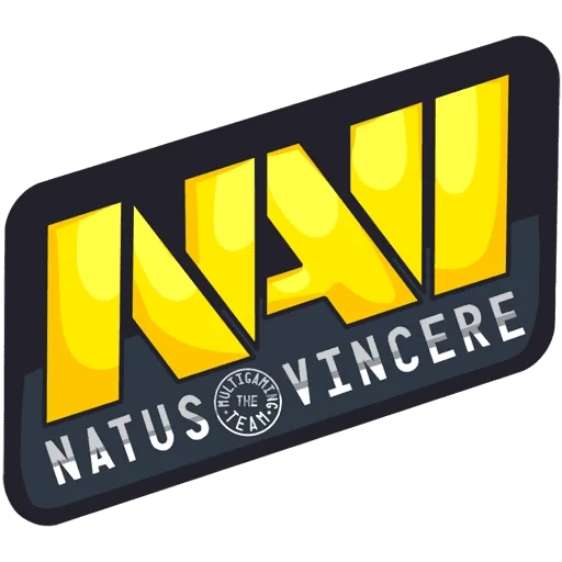 navid kompressor, kk go navi, navi fahrzeugkennzeichnung, natus vincere, navi cs go logo