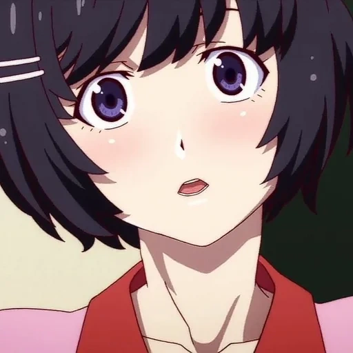 monogatari, araragi koyomi, monogatari serie, hanekava tsubas anime, nisemonogatari tsubas