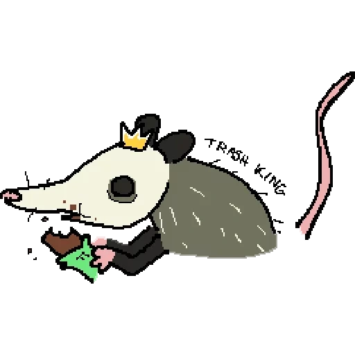 opossum, oposum art, opusum yells, oposum is cute, oposum with a transparent background