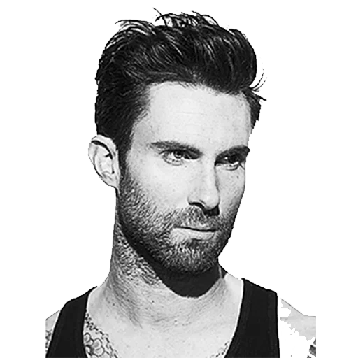 uomini, maroon 5, adam levine, par jebegood laurent, marlon 5 ragazze piace