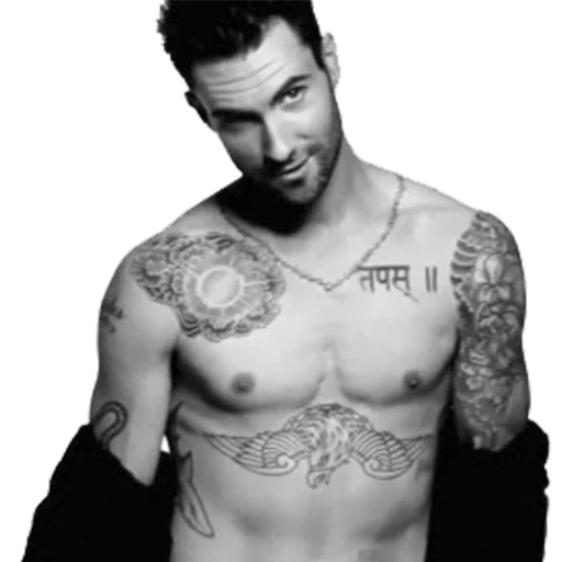 adam levin, maroon 5 azúcar, adam levin torsos, tatuaje de adam levin, hombres tatuados