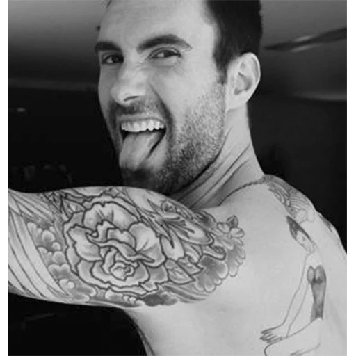 maroon 5, adam levine, adam levine, 5 gruppi di castagne, marrone 5 adamo levin