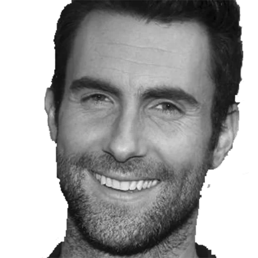 adam, gli attori, uomini, adam levine, daylight maroon 5