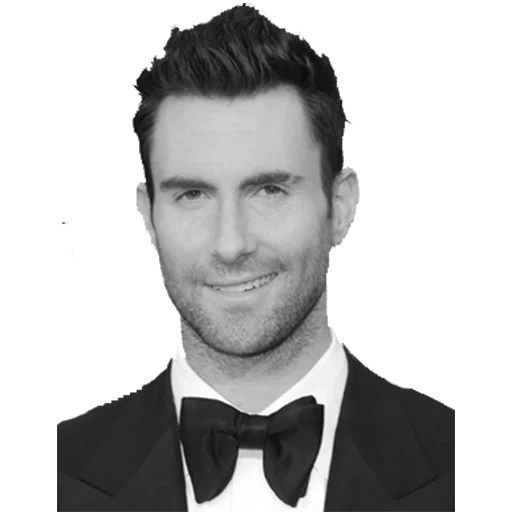 mp3, male, maroon 5, adam levin, adam levin