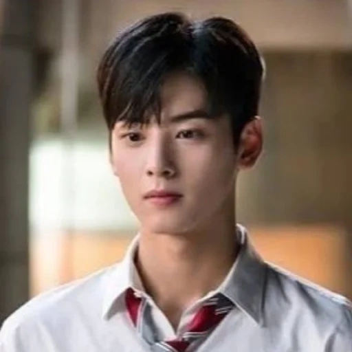 cha eun woo, cha eun woo rainbow falling, хён бин, eun woo, корейские актеры