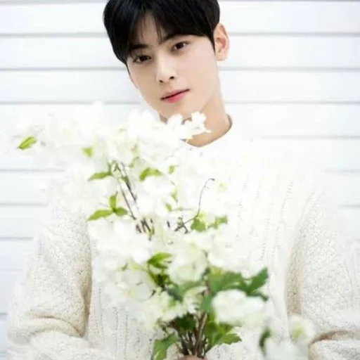 чха ын у, cha eun woo, корейские актеры, astro eunwoo, astro cha eun woo