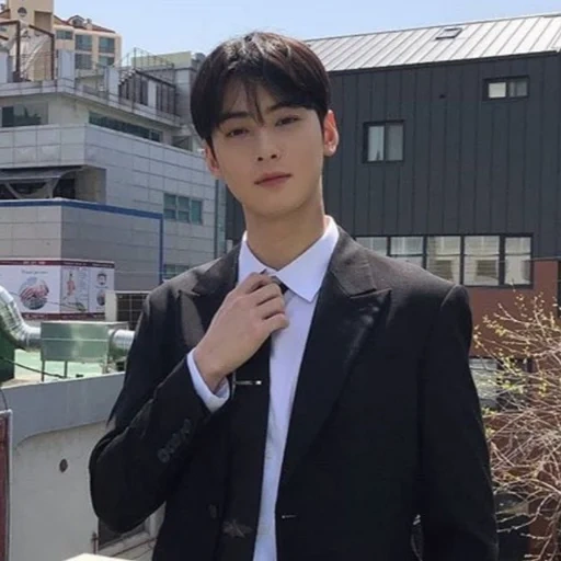 chaun wooo, aktor korea, eunwoo kecelakaan kecantikan sejati, chan woo usia, cowok cantik