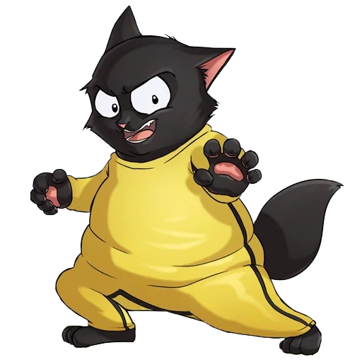 momo gato, seu gato, ninja cat, cook de gato, gamercat persas