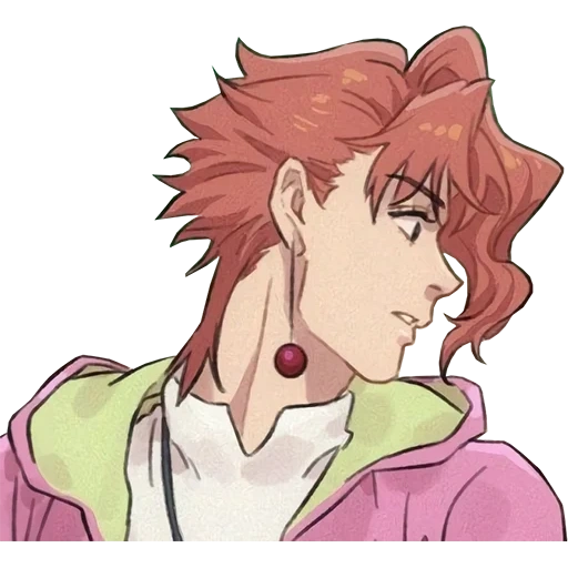 noriaki kakein, noriki cococó, kakyoin noriaki