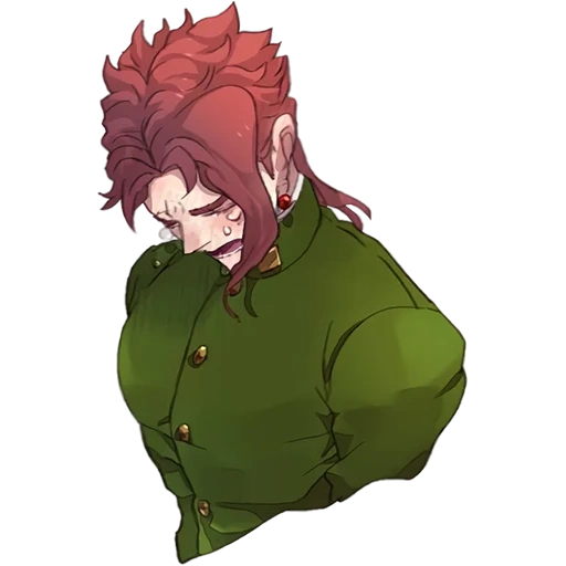 kakyoin, noriaki dyoyin, ciertas norias, kakyoin noriaki, noriaki kakyouin noriaki