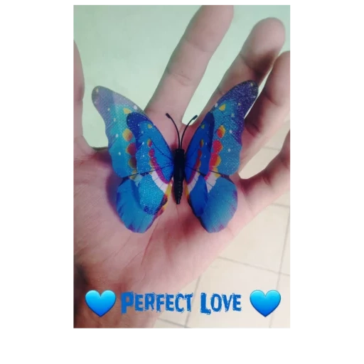 papillon, mini papillon, papillon aimant, papillon jouet, papillon bleu
