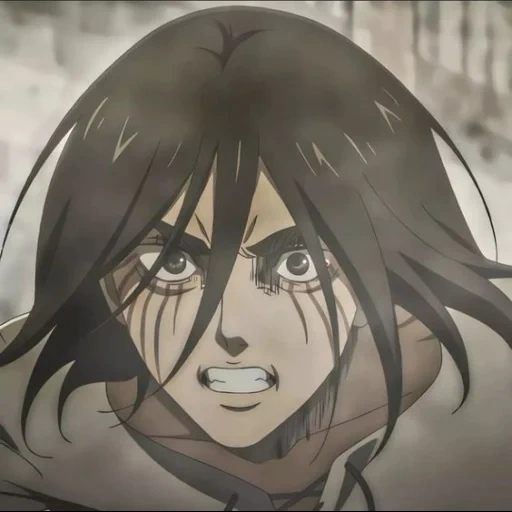 mikasa, titan animation, titan's attack, anime attack titan, attack titan characters