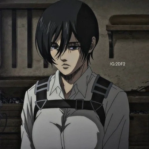 mikasa, titan's attack, mikasa ackerman, mikasa ackerman, titan attack screenshot