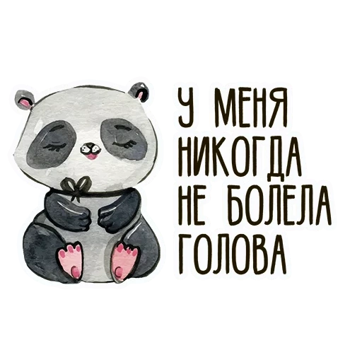 raccoon, funny, panda is cute, ridiculous words and phrases